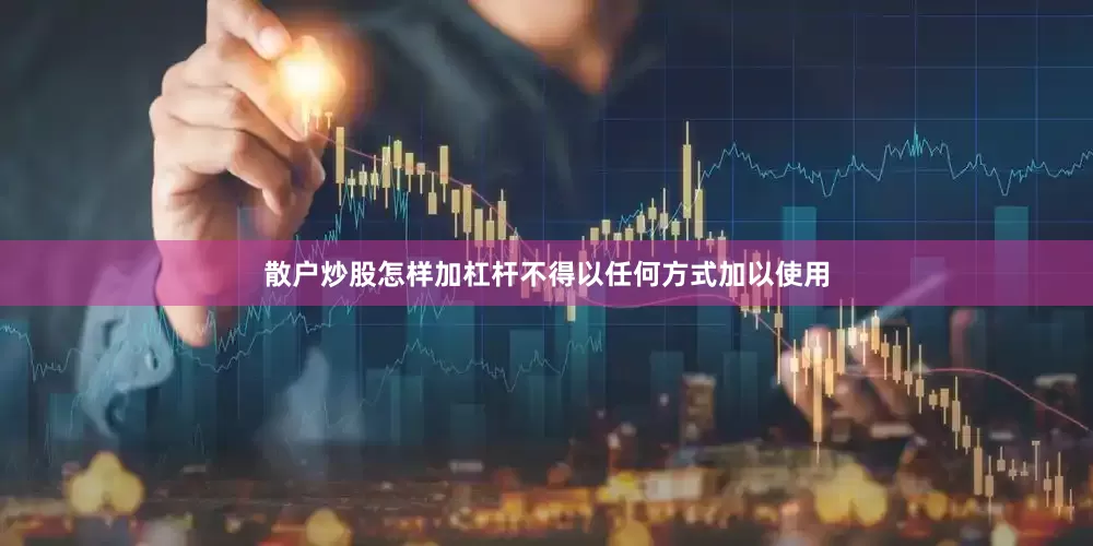 散户炒股怎样加杠杆不得以任何方式加以使用