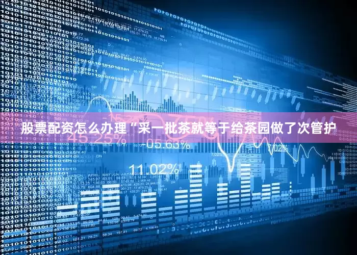 股票配资怎么办理“采一批茶就等于给茶园做了次管护