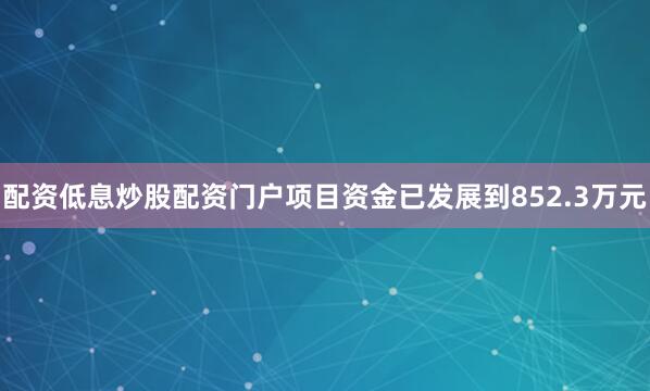 配资低息炒股配资门户项目资金已发展到852.3万元