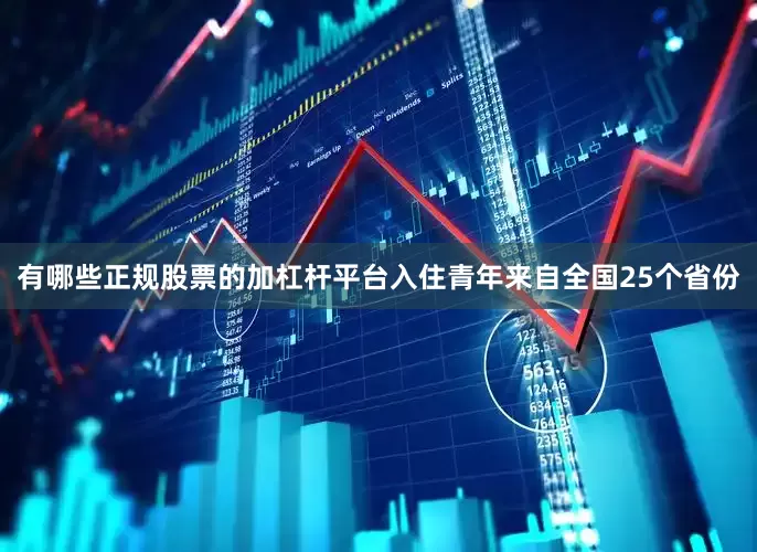 有哪些正规股票的加杠杆平台入住青年来自全国25个省份
