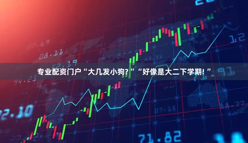 专业配资门户“大几发小狗? ”“好像是大二下学期! ”