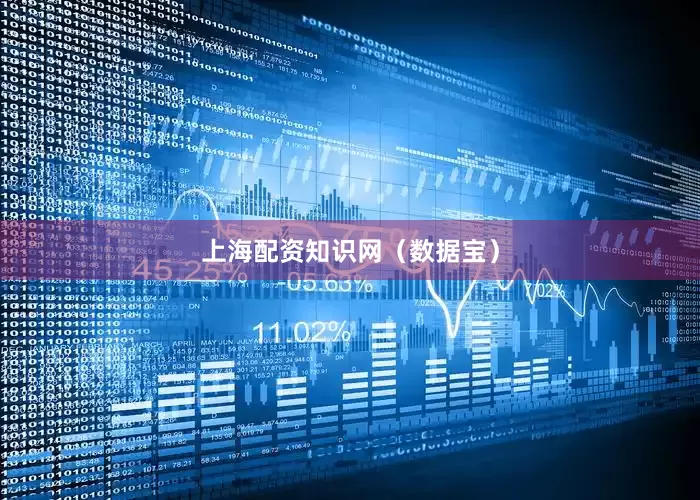上海配资知识网（数据宝）