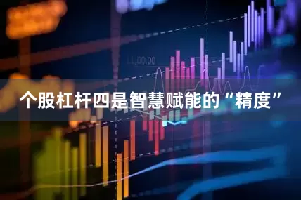 个股杠杆四是智慧赋能的“精度”