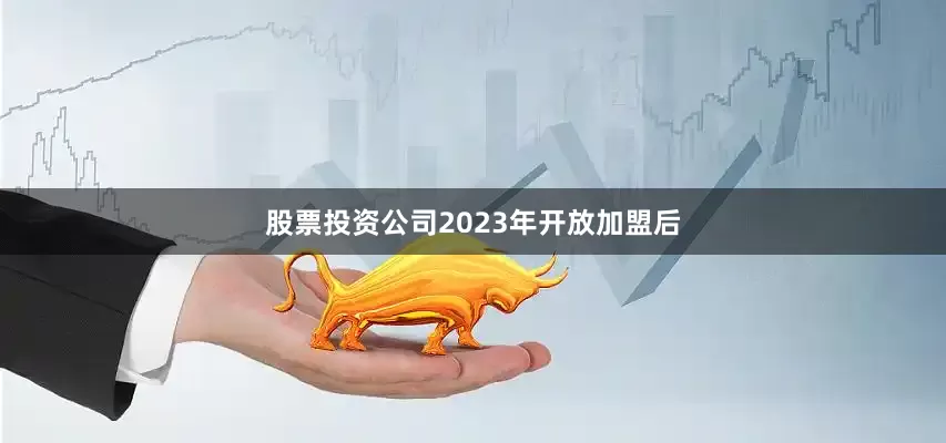 股票投资公司2023年开放加盟后