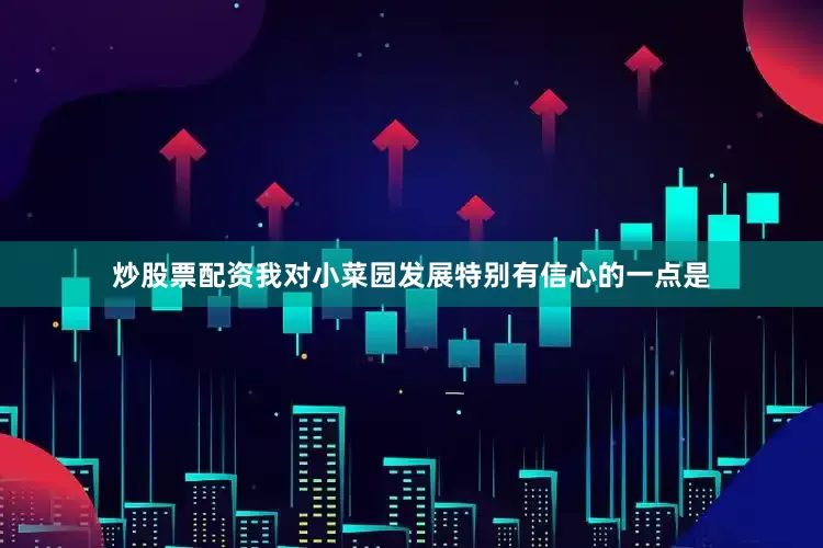炒股票配资我对小菜园发展特别有信心的一点是